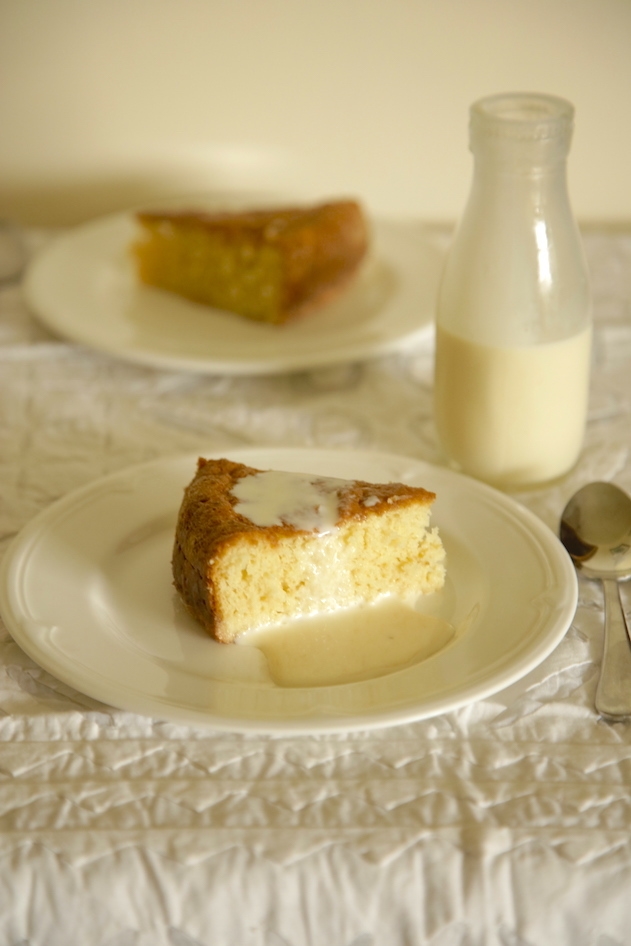 TRES LECHES CAKE-MEXICAN 3 MILK CAKE